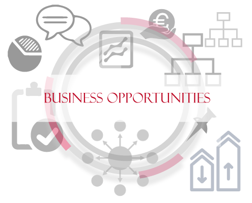 MLSBP MLS Business Partners Soluzioni per il settore degli NPL e il Business